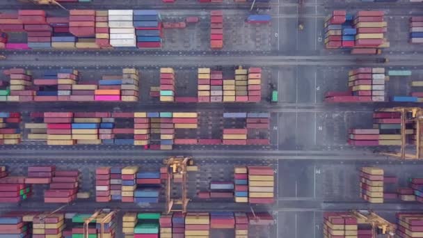 Aerial View Drone Footage Container Cranes Port Colombo Sri Lanka — Vídeos de Stock