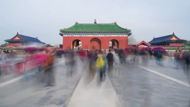2019 11中国 時間経過4Kの人々の北京 中国の週末に天壇の中をさまよう — ストック動画