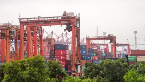 2019 Hong Kong Zeitraffer Kran Arbeitet Der Hafenschifffahrt Distributionslager Industrie — Stockvideo