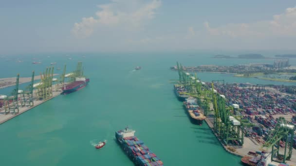 Drone Vue Aérienne Images Conteneurs Expédition Port Singapour Terminal Conteneurs — Video