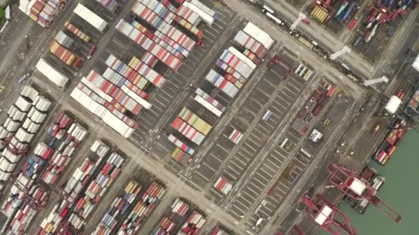 Nave Container Cargo Attività Esportazione Importazione Logistica Merci Internazionali Città — Video Stock