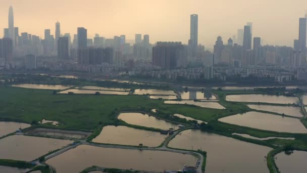 Drohne Aufnahmen Der Skyline Von Shenzhen City China Der Dämmerung — Stockvideo