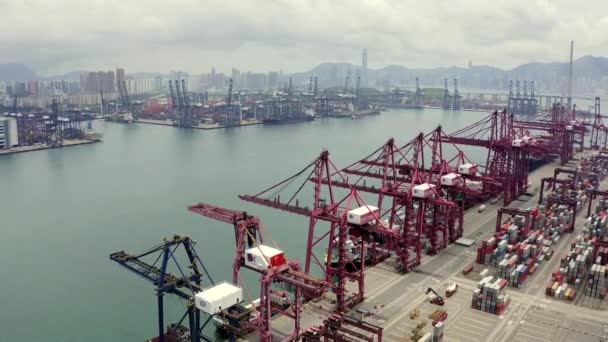 Nave Container Cargo Attività Esportazione Importazione Logistica Merci Internazionali Città — Video Stock
