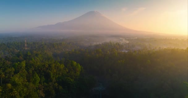 Luchtfoto Drone Hyper Lapse Scenic Jungle Waterval East Jawa Tumpak — Stockvideo