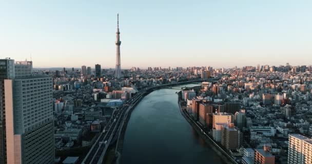 Видео Реки Сумида Здания Токио Города Японии Восходе Солнца Токио — стоковое видео