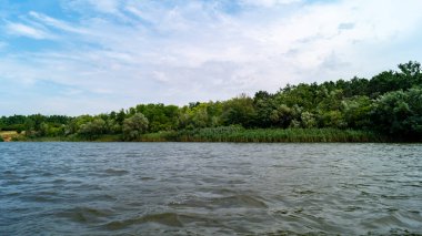 Nehir kenarında. Ormanlı nehir kıyısı. Nehir kıyısındaki orman. Rezervuarın kıyısı