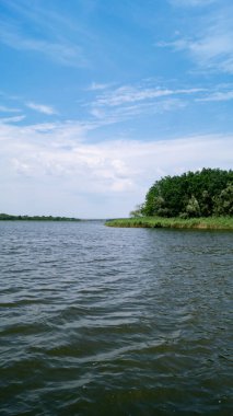 Nehir kenarında. Ormanlı nehir kıyısı. Nehir kıyısındaki orman. Rezervuarın kıyısı