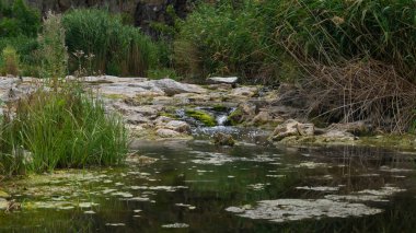 Su akışı. Dağ gibi su. Su kaynağı. Şelale şelalesi. Şelaleler