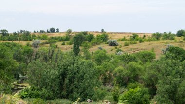 Kirişteki bozkır yeşil ağaçları. Vadideki ağaçlar