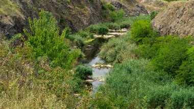 Dar bir nehir. Bataklıkları olan küçük bir nehir. Taşlı küçük bir nehir