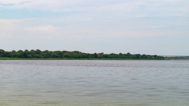 Nehir manzarası. Nehir. Nehir ve ormanın yakınında. Su akışı