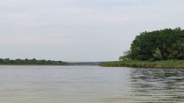 Nehir manzarası. Nehir. Nehir ve ormanın yakınında. Su akışı
