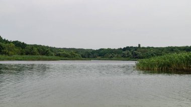Nehir manzarası. Nehir. Nehir ve ormanın yakınında. Su akışı