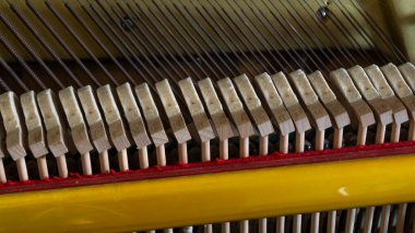 Piyano telleri. Piyano telleri ve tokmaklar. Piyano çekiçleri