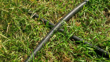 Siyah hortum. Siyah eski hortum. Hortum çimenlerde yatıyor.