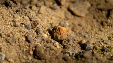 Kumda turuncu bir taş. Kumda çakıl taşları. Kum yakın çekim.