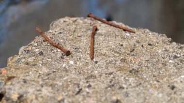 Paslı çivi. Paslı tırnaklar yakın plan. Paslı metal dokusu