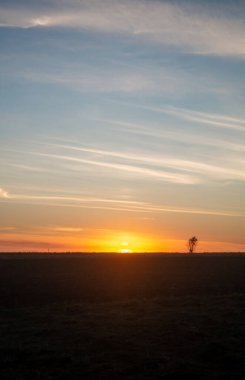 Turuncu gün batımı ve bulutlu mavi gökyüzü. Tarlada gün batımı