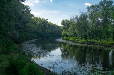 Nehir, gün batımında çimen ve yeşil ağaçlarla kıyılar boyunca akar. Nehir ve ağaçlar manzara