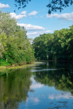 Nehir, gün batımında çimen ve yeşil ağaçlarla kıyılar boyunca akar. Nehir ve ağaçlar manzara