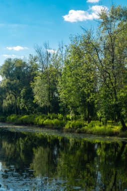 Nehir, gün batımında çimen ve yeşil ağaçlarla kıyılar boyunca akar. Nehir ve ağaçlar manzara