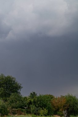 Gri yağmur bulutları ve yeşil ağaçlar. Ağaçlara yaklaşan bir yağmur var.