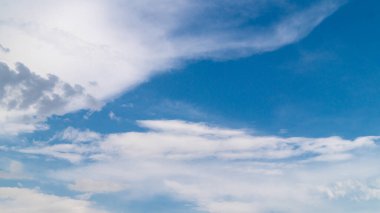 Haşlanmış sarı mısır koçanları ikiye bölünmüş. Haşlanmış mısır koçanları yakın plan.