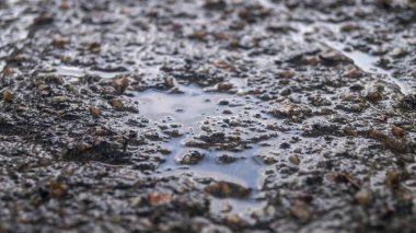 Küçük su birikintileriyle ıslak asfalt yüzeyi. Yağmurda asfalt