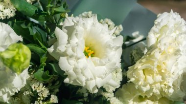 Prairie gentian. Bir buket beyaz Eustoma. Bir buket büyük beyaz Eustoma çiçeği.