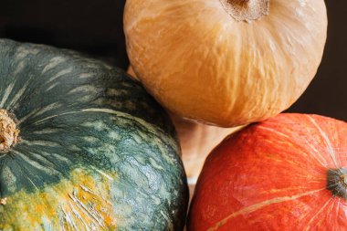 Kabak kabaklarının çeşitli arkaplanlarını kapatın. Sonbahar hasadı.