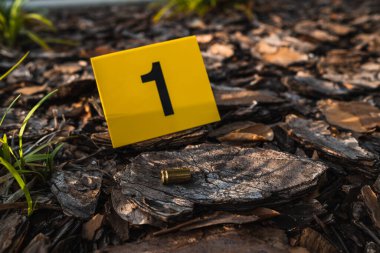 Bir grup sarı suç mahalli delili tabanca mermisi kovanlı kovan tüfeğinden sonra yerde.