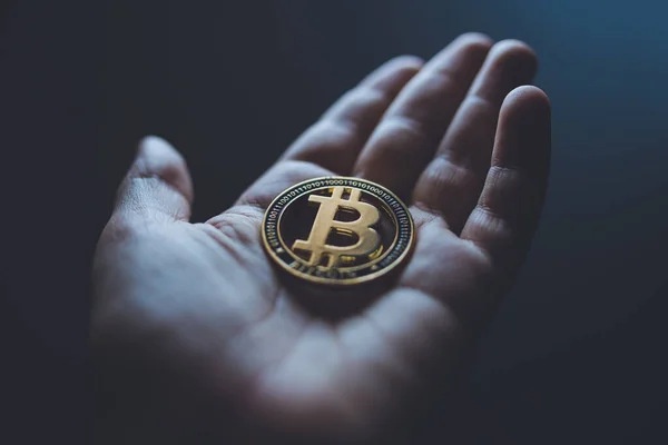Tek bir altın Bitcoin kripto para bir insanın elinde yatıyor.
