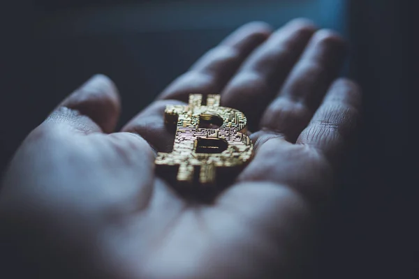 Altın Bitcoin kripto para logosu tutan bir insan eli.