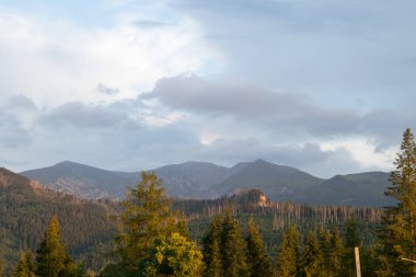 Tatra Mountains. View of the mountains covered with forest.