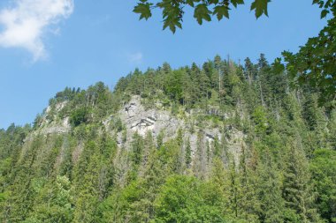 Tatra Mountains. View of the mountains covered with forest.