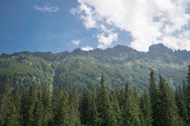 Tatra Mountains. View of the mountains covered with forest.