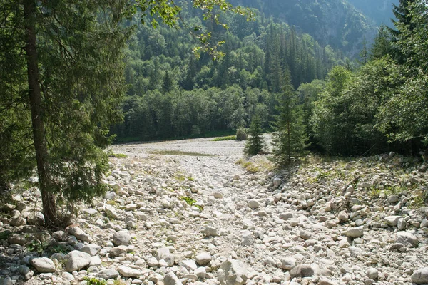 Tatra Dağları. Dağ nehri manzarası, dağlarda şelale..