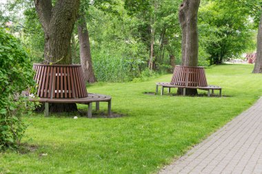 Bench around the oak in the park.