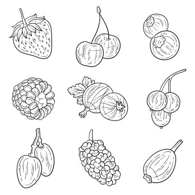 Set of hand drawn berries ink style. Strawberry, cherry, blueberry, raspberry, gooseberry, currant, grape, mulberry, brier. For coloring pages, menu, greeting cards, banners, poster design, educational books clipart