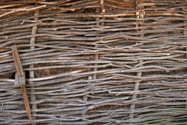 Ağaç dalları desenli çitleri kapatın. Sağlam bir çit, sürekli örülmüş söğüt çiti. Organik malzeme, odun dokuma bariyeri