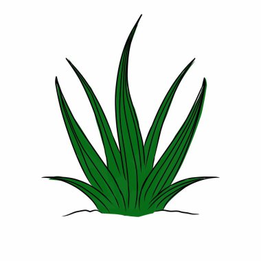 Tasarımınız için çim çizimi