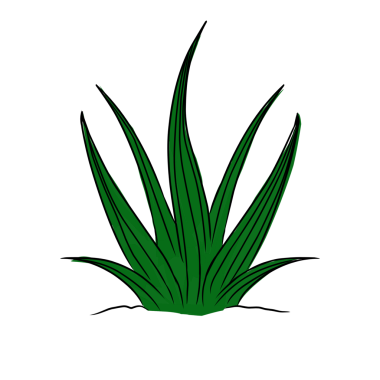 Tasarımınız için çim çizimi