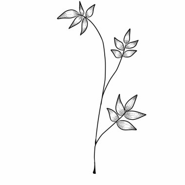 Branch çizim çizelgesini bırakır