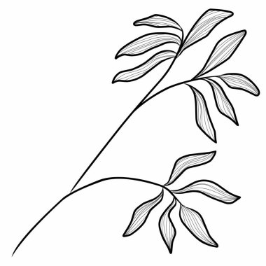 Branch çizim çizelgesini bırakır