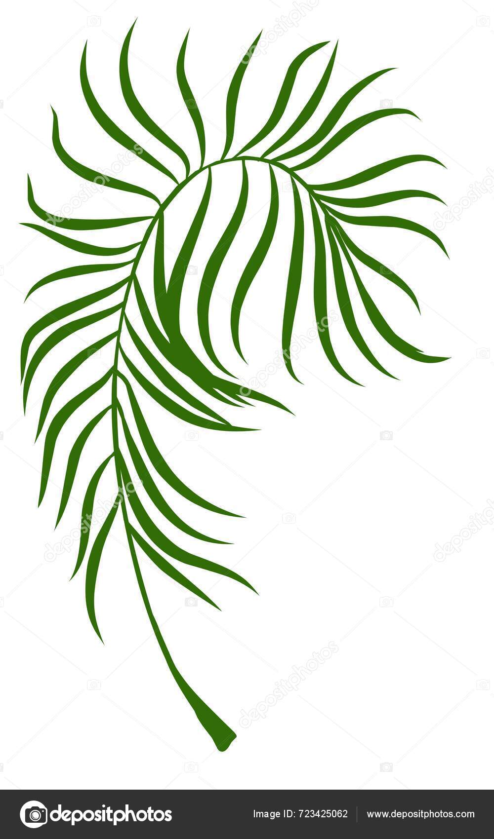 Summer Palm Leaves Illustration — Stock Photo © dyahfitrianas #723425062