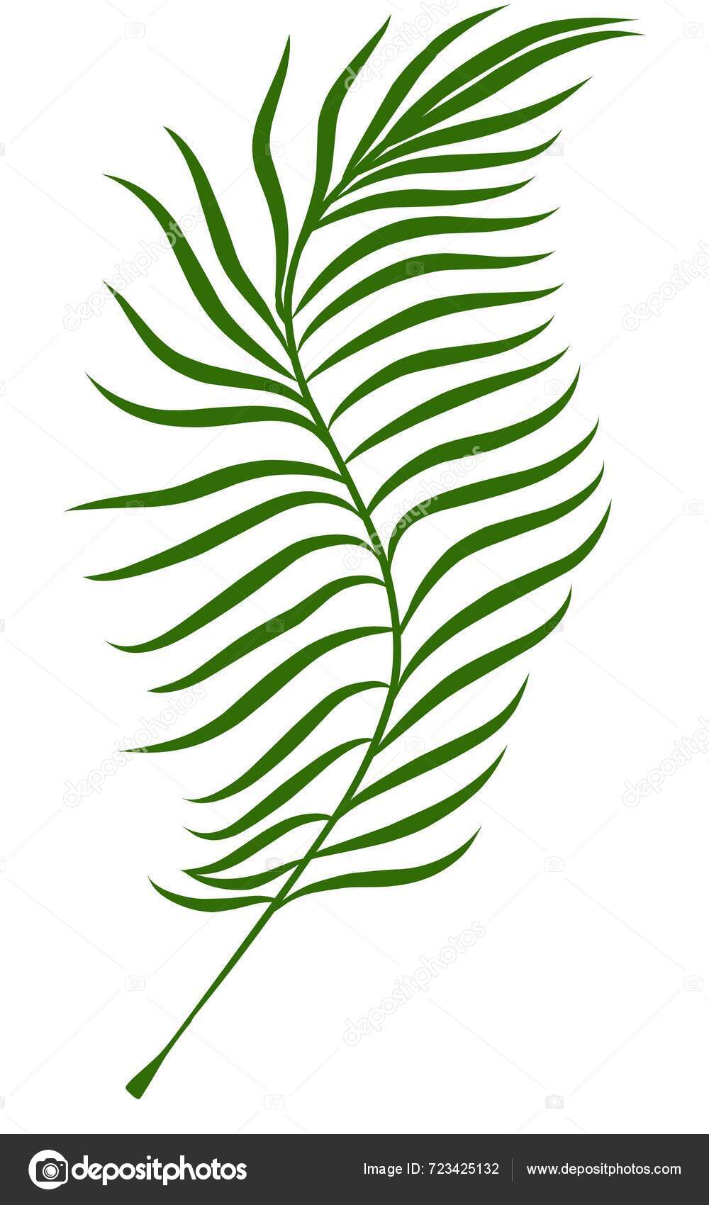 Summer Palm Leaves Illustration — Stock Photo © dyahfitrianas #723425132