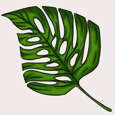 Yaz canavarı desen için resim bırakır