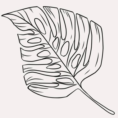 Yaz canavarı desen için resim bırakır