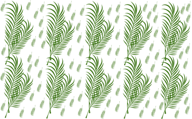 Yaz palmiyesi çizim yapar