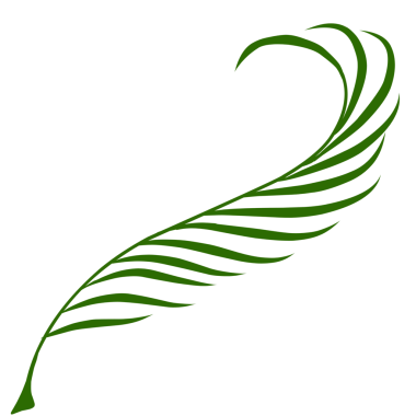 Yaz palmiyesi çizim yapar